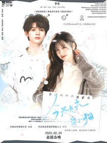 TOP：今天我来当小猫