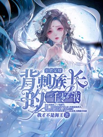 王者荣耀：背刺族长的一千零一夜